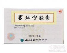 中成药大全 传统中医药的现代制剂