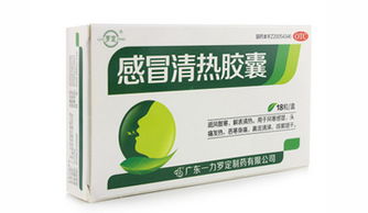 清热类中成药的中医辨证应用指南