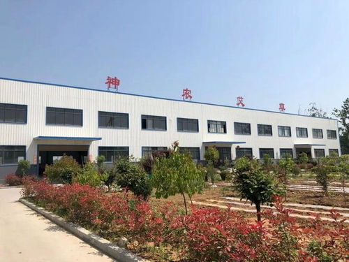 宛艾领航 神农艾草携生态全系制剂亮相中国艾博会，定位化学药应用新场景